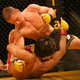 Illustration for article titled Mixed Martial Arts Title, New Shooter In Works At EA?